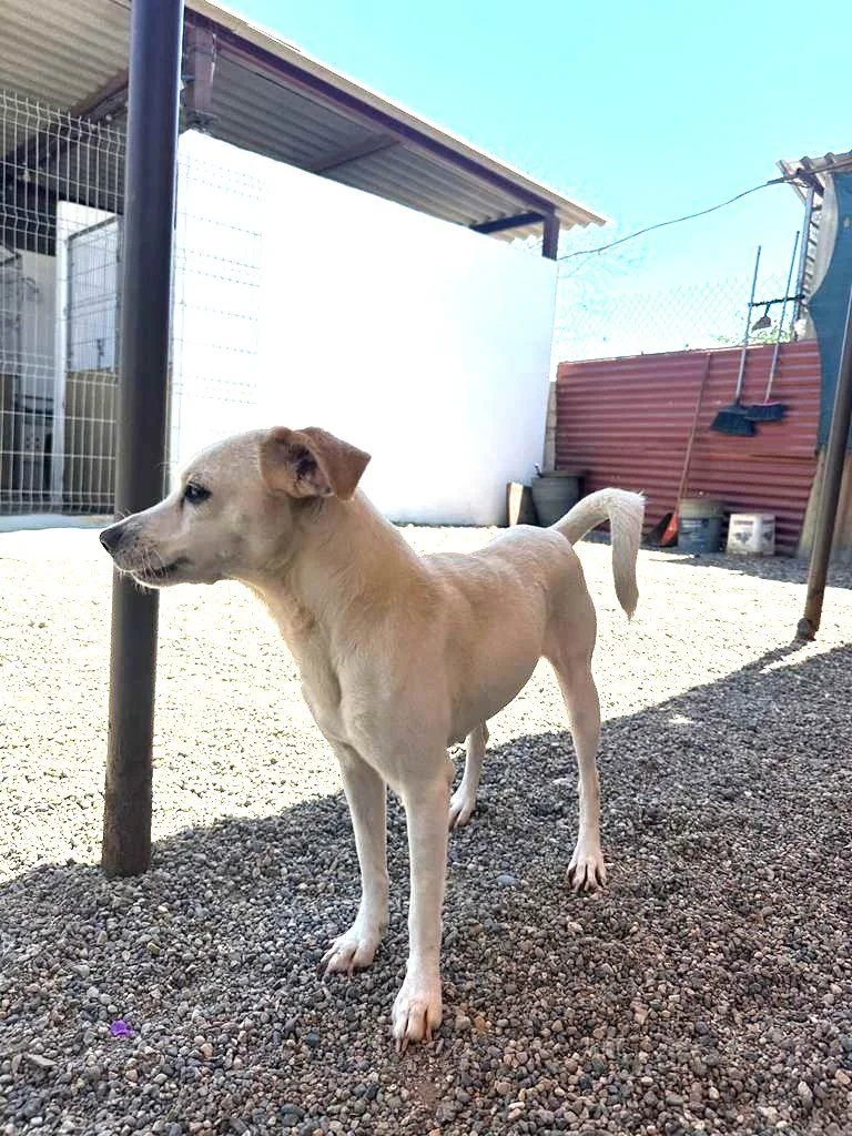 WhatsApp Image 2026-03-27 at 4.47.33 PM.jpeg