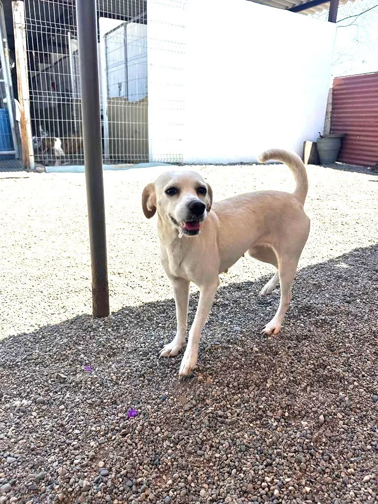 WhatsApp Image 2026-03-27 at 4.47.33 PM (1).jpeg