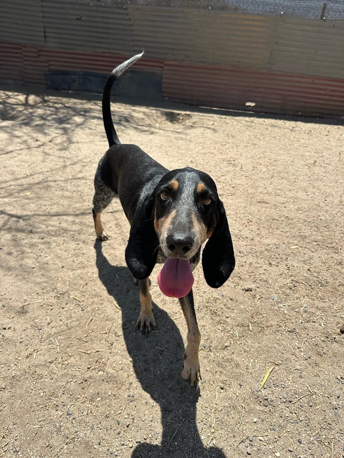 WhatsApp Image 2026-03-27 at 3.29.55 PM (2).jpeg