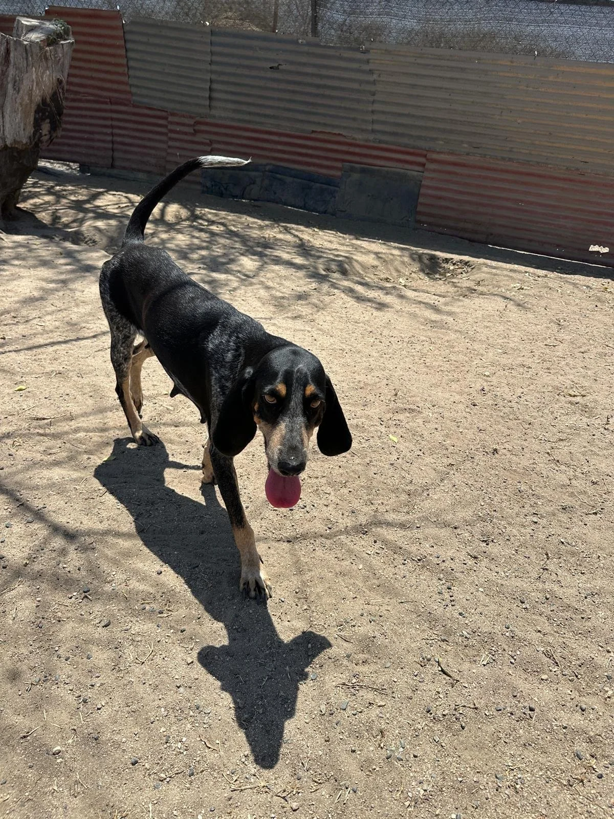 WhatsApp Image 2026-03-27 at 3.29.55 PM (1).jpeg