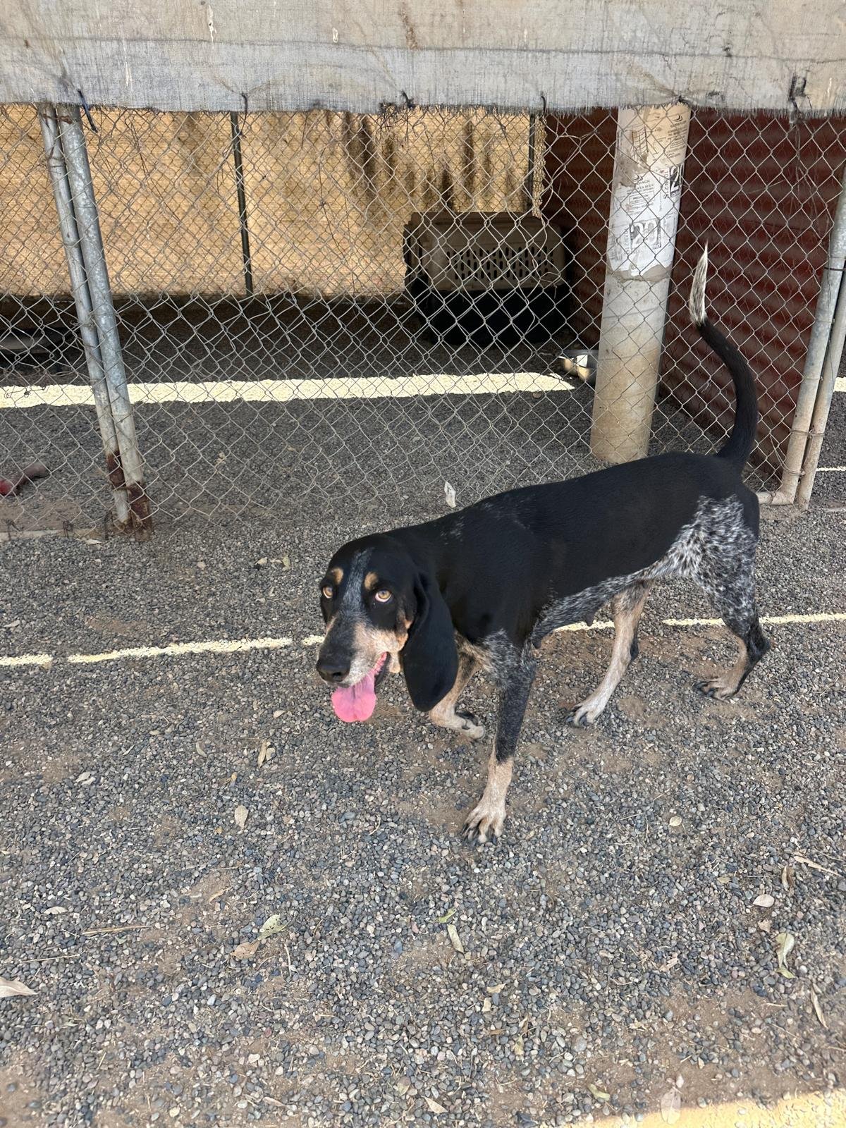 WhatsApp Image 2026-03-27 at 3.29.55 PM.jpeg