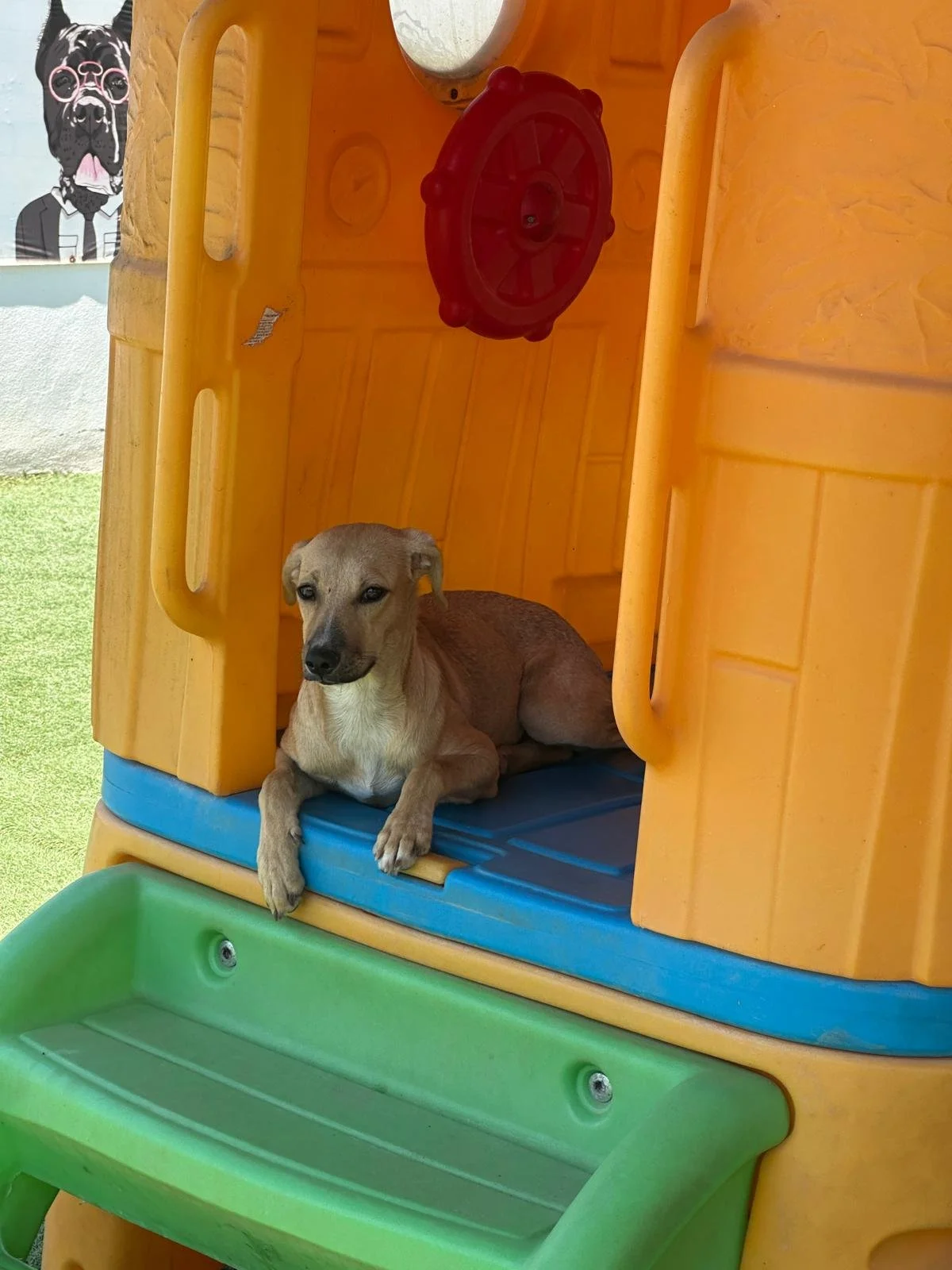 WhatsApp Image 2026-03-21 at 3.43.38 PM (1).jpeg