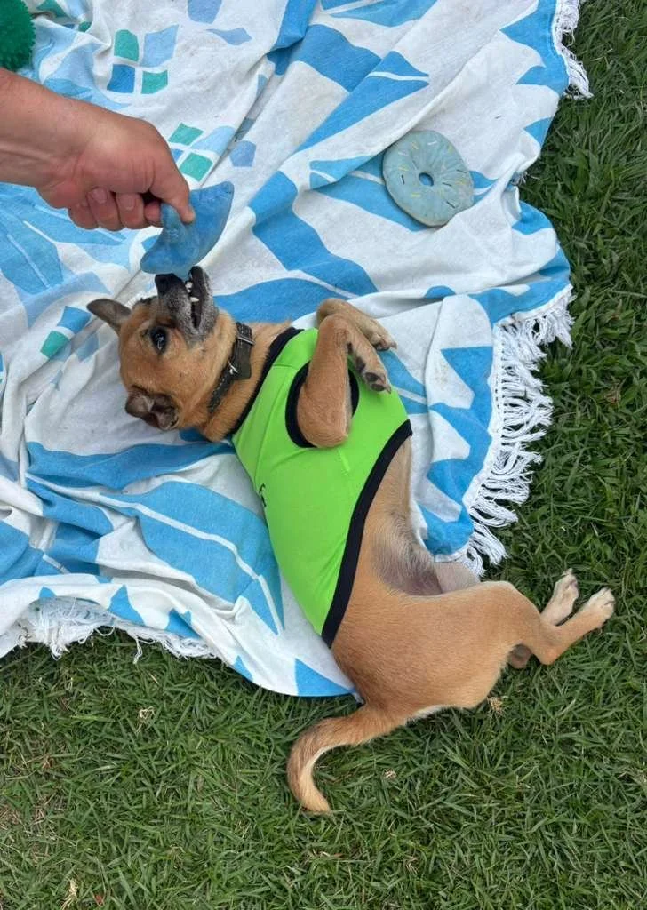 WhatsApp Image 2026-03-09 at 12.03.01 PM.jpeg