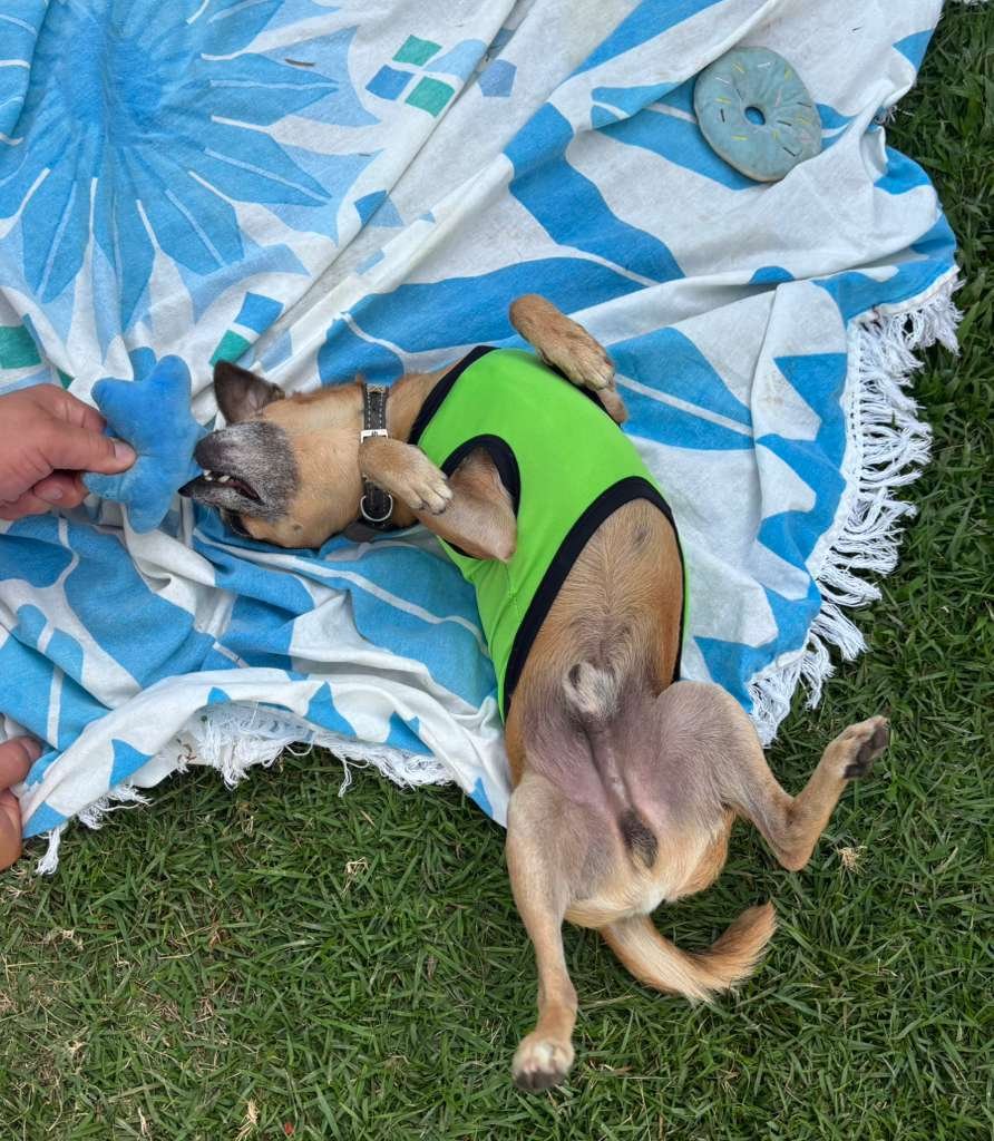 WhatsApp Image 2026-03-09 at 12.03.01 PM (1).jpeg