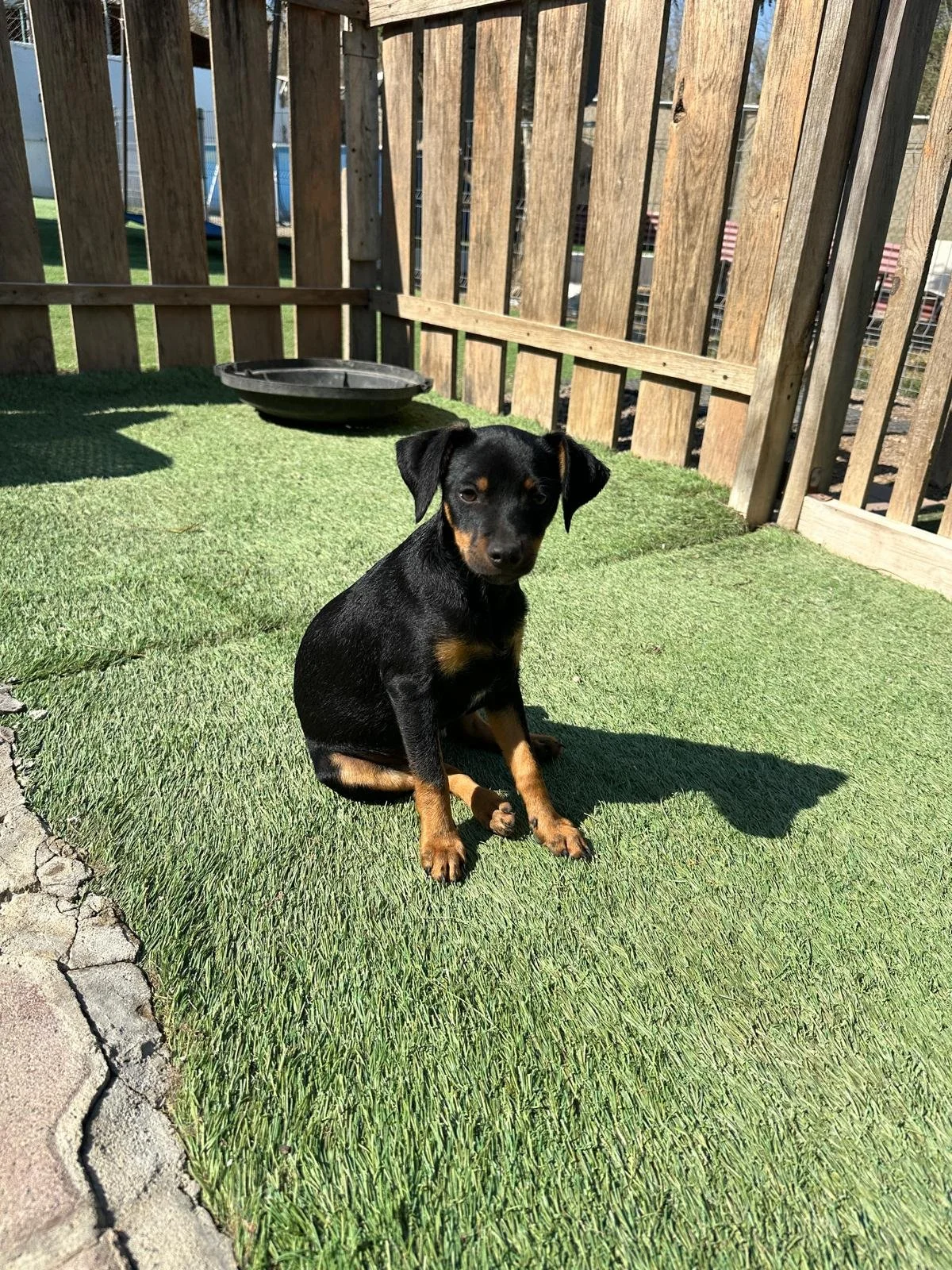 WhatsApp Image 2026-03-18 at 5.35.36 PM (1).jpeg