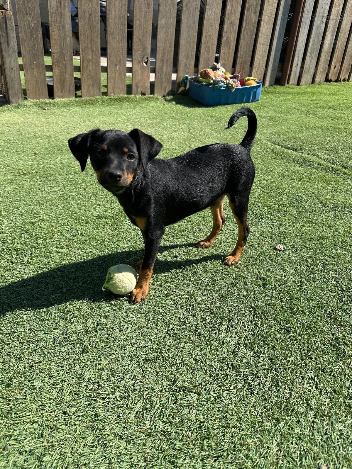 WhatsApp Image 2026-03-18 at 5.35.36 PM (4).jpeg