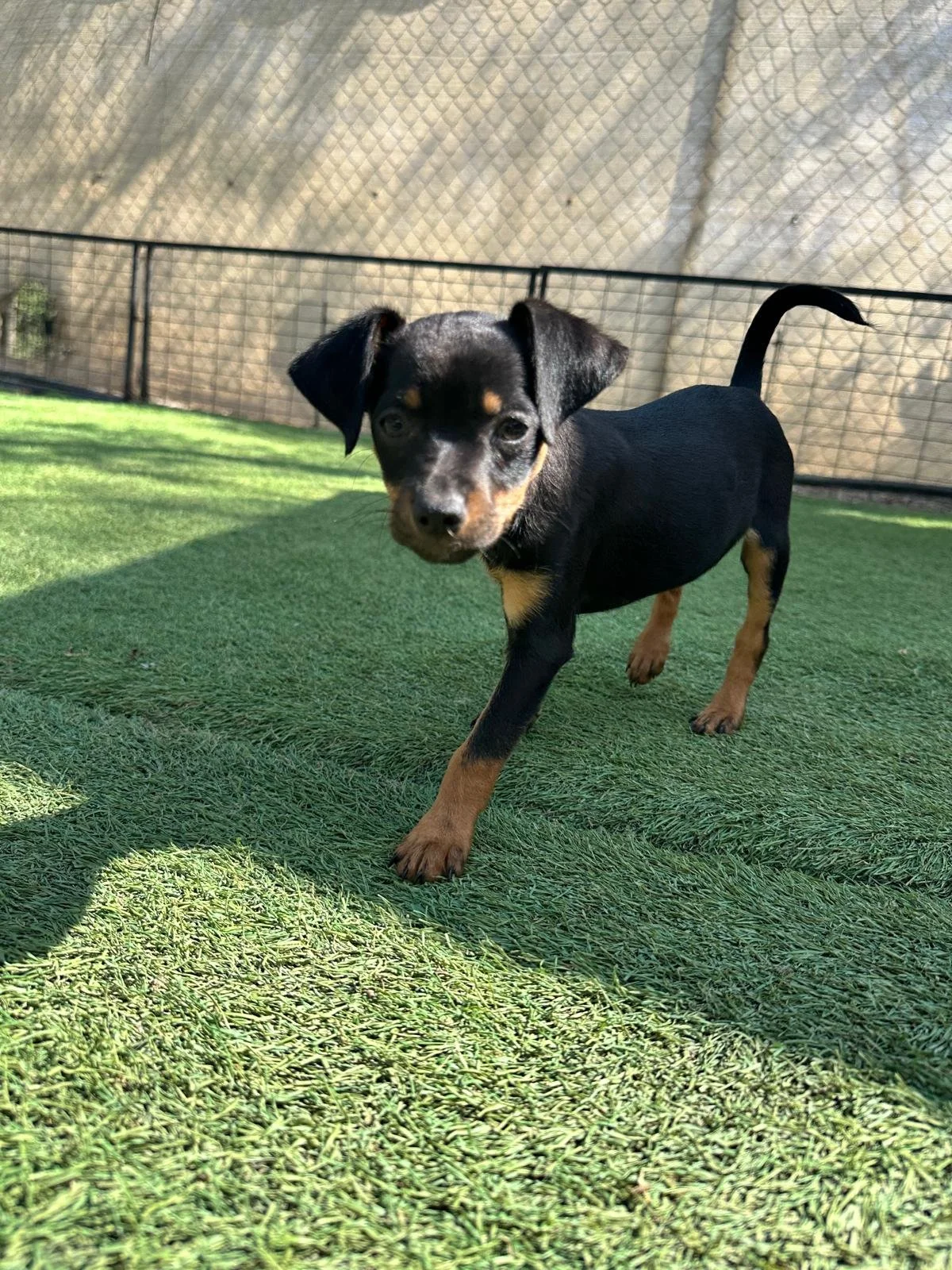 WhatsApp Image 2026-02-01 at 4.48.37 PM.jpeg