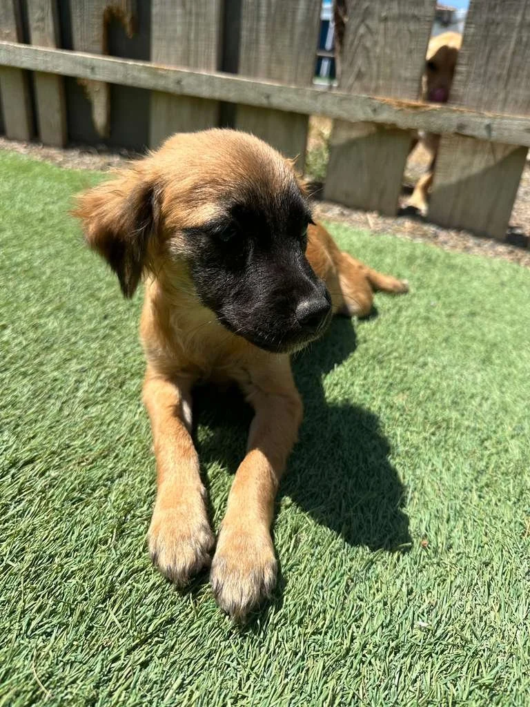 WhatsApp Image 2026-03-19 at 3.23.08 PM (1).jpeg