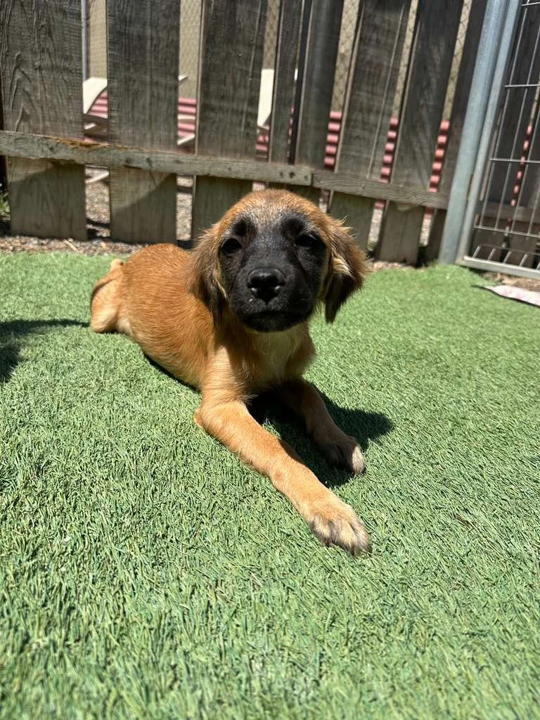 WhatsApp Image 2026-03-19 at 3.23.08 PM (2).jpeg