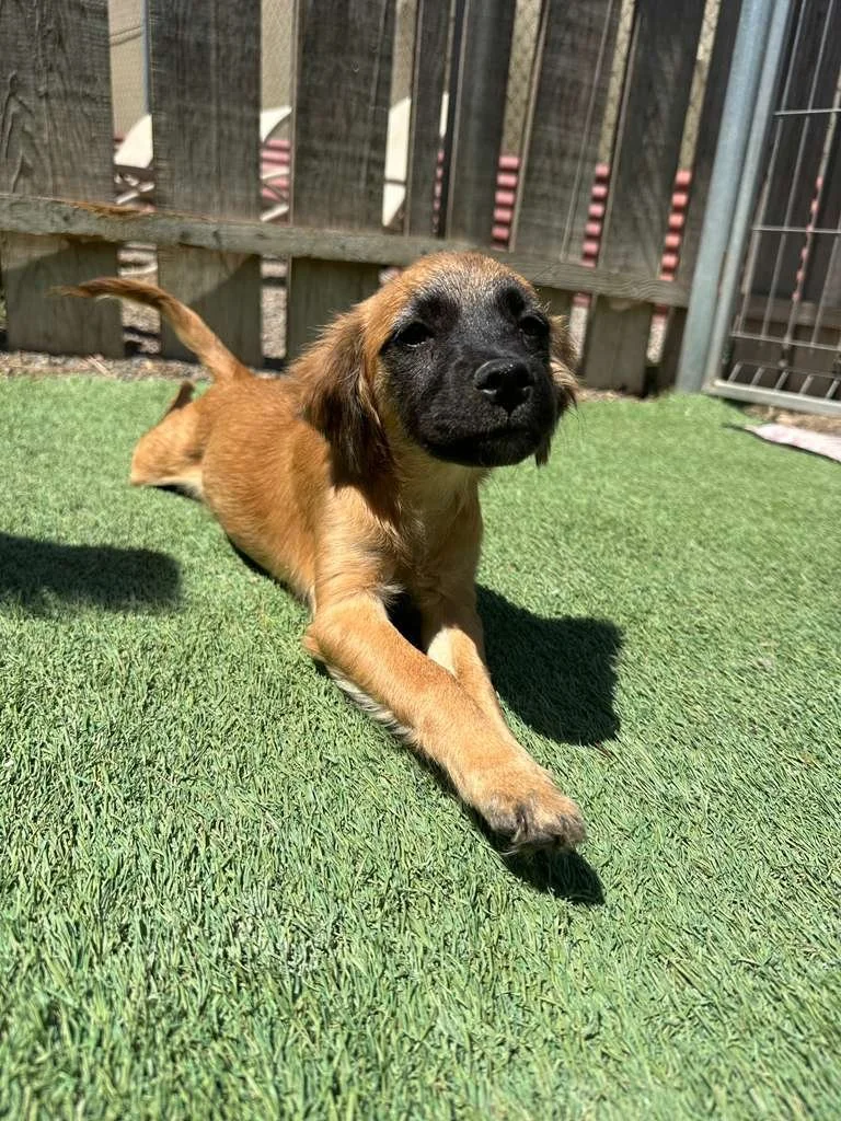 WhatsApp Image 2026-03-19 at 3.23.08 PM (3).jpeg