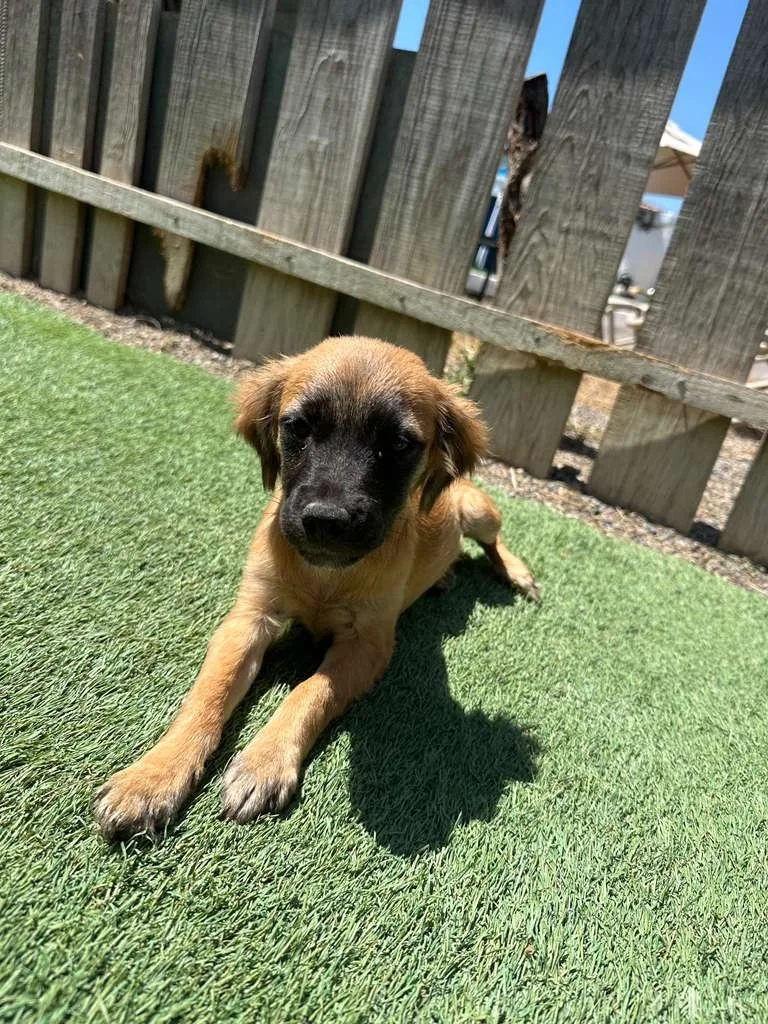 WhatsApp Image 2026-03-19 at 3.23.08 PM.jpeg