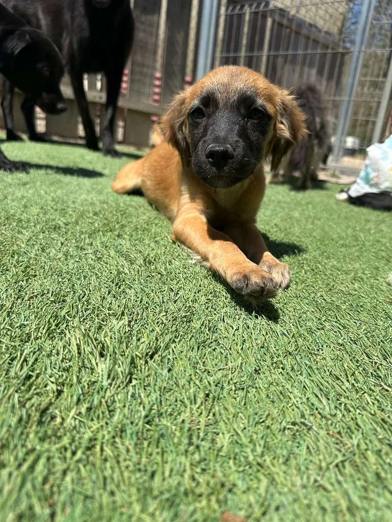 WhatsApp Image 2026-03-19 at 3.23.09 PM (1).jpeg