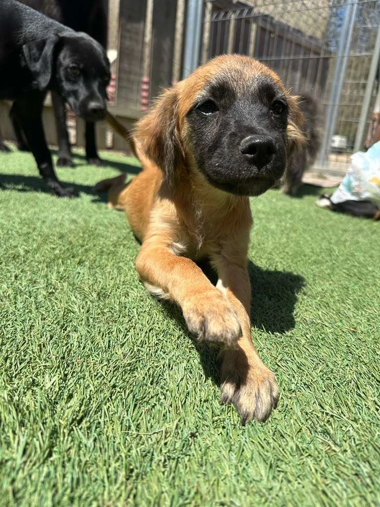 WhatsApp Image 2026-03-19 at 3.23.09 PM (2).jpeg