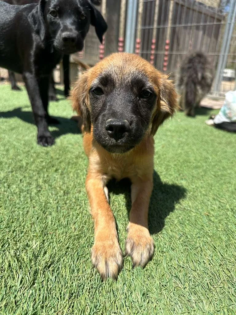 WhatsApp Image 2026-03-19 at 3.23.09 PM (3).jpeg