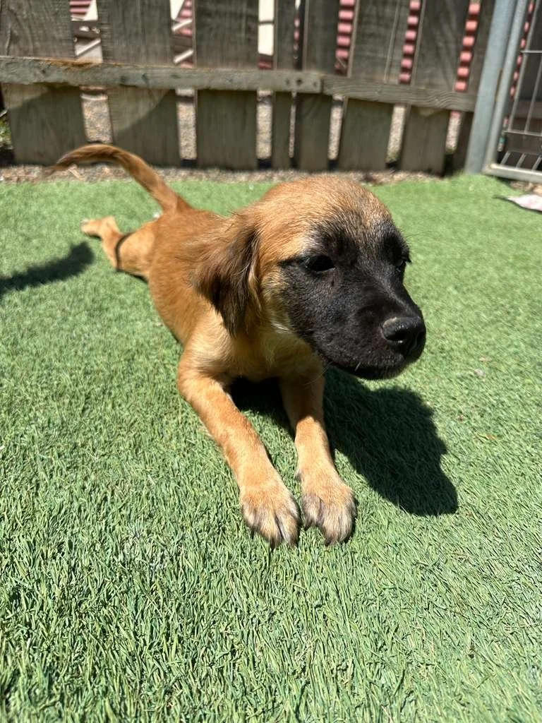 WhatsApp Image 2026-03-19 at 3.23.09 PM.jpeg