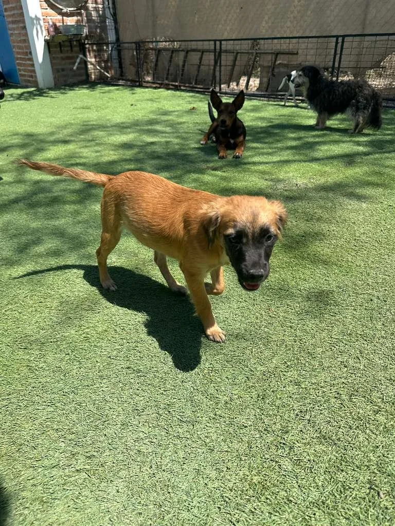 WhatsApp Image 2026-03-19 at 3.23.10 PM (1).jpeg