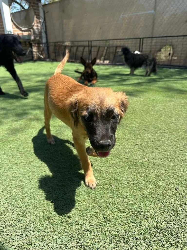 WhatsApp Image 2026-03-19 at 3.23.10 PM (2).jpeg