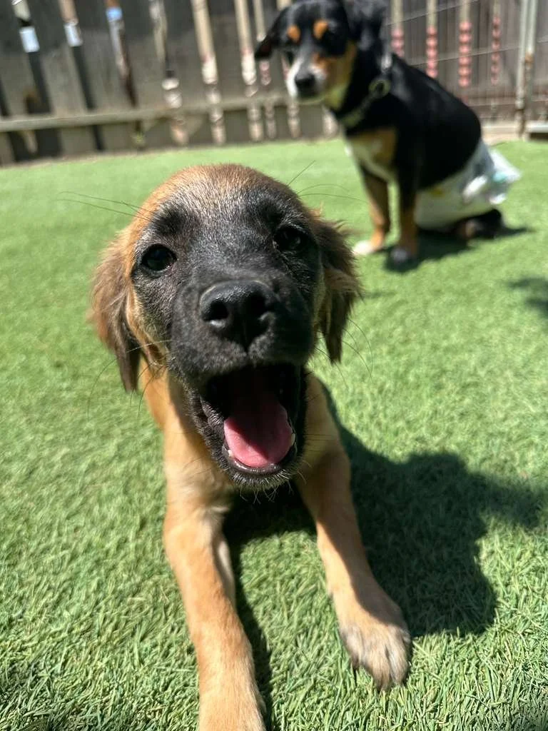 WhatsApp Image 2026-03-19 at 3.23.10 PM.jpeg