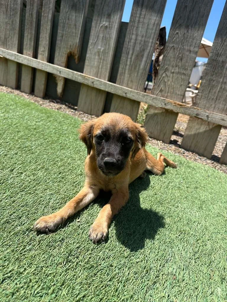 WhatsApp Image 2026-03-19 at 3.23.07 PM.jpeg