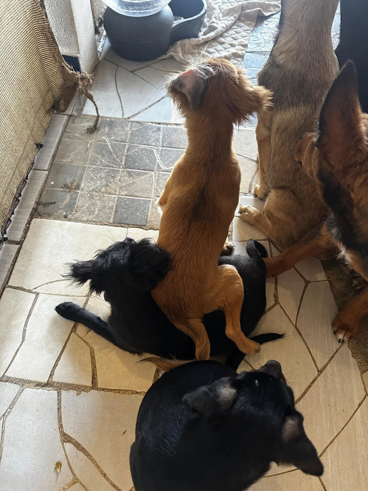 WhatsApp Image 2026-03-04 at 9.38.02 AM.jpeg