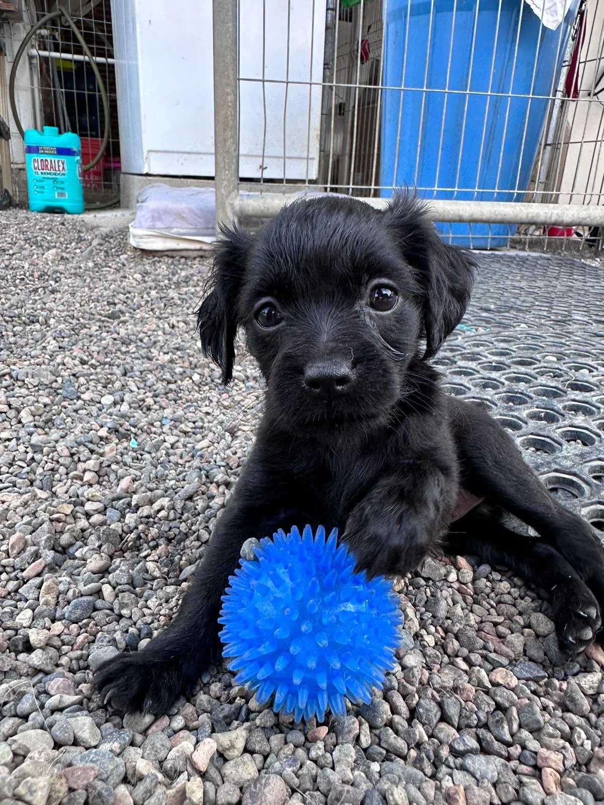 WhatsApp Image 2025-12-30 at 3.13.36 PM (1).jpeg