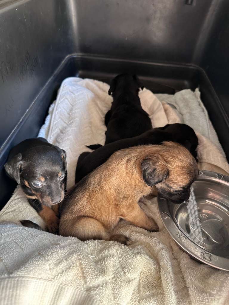 WhatsApp Image 2025-12-21 at 2.04.23 PM (1).jpeg