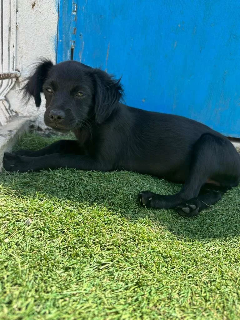 WhatsApp Image 2026-03-19 at 3.23.07 PM (2).jpeg