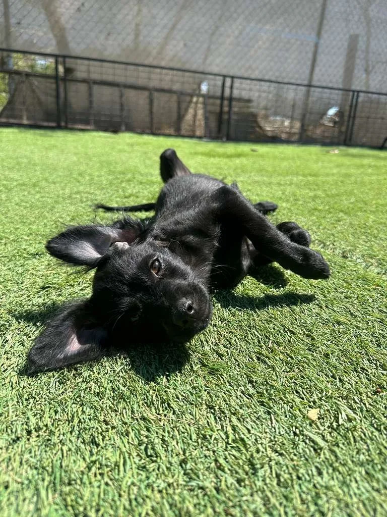 WhatsApp Image 2026-03-19 at 3.23.07 PM (1).jpeg