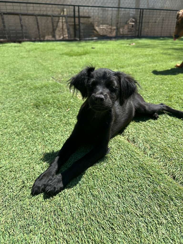 WhatsApp Image 2026-03-19 at 3.23.06 PM (3).jpeg