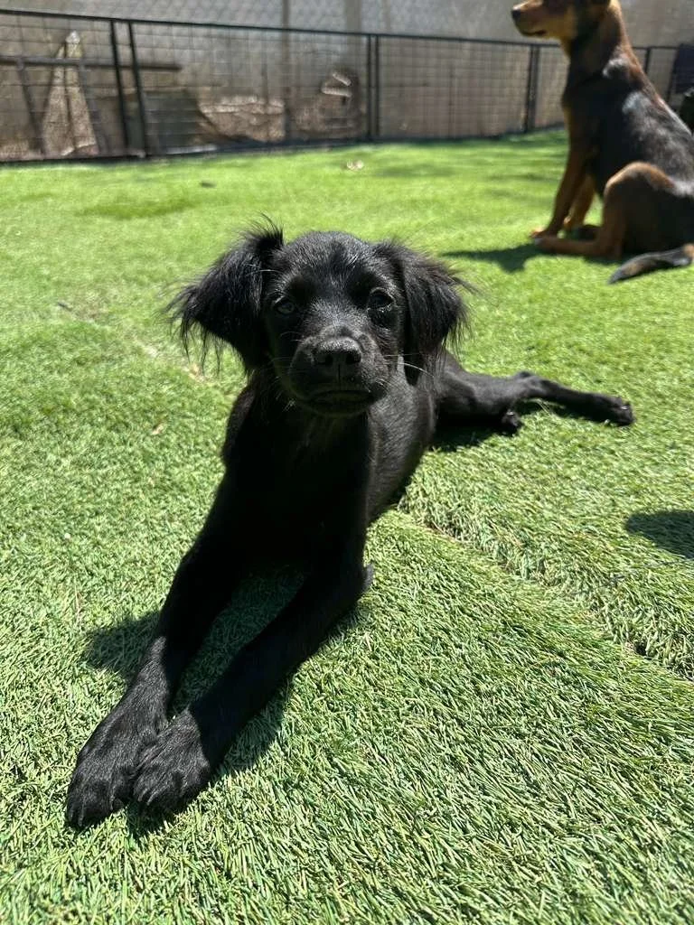 WhatsApp Image 2026-03-19 at 3.23.06 PM (2).jpeg