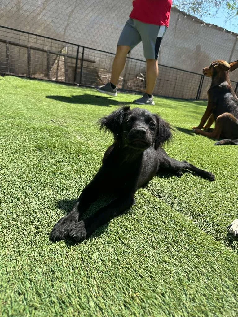 WhatsApp Image 2026-03-19 at 3.23.06 PM.jpeg