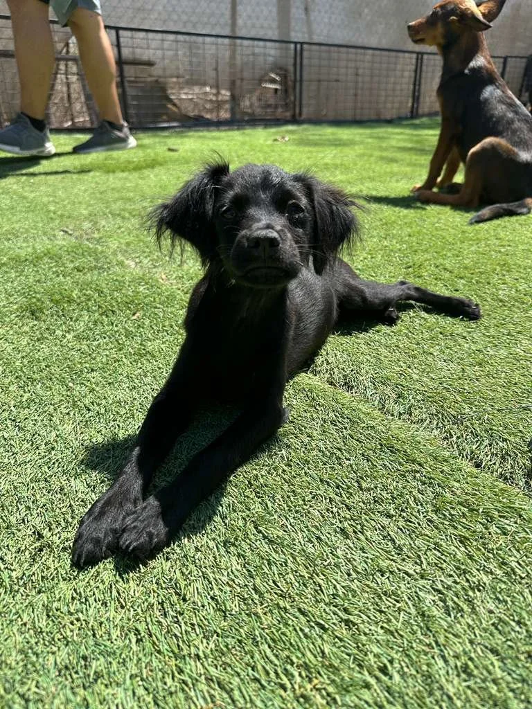 WhatsApp Image 2026-03-19 at 3.23.06 PM (1).jpeg