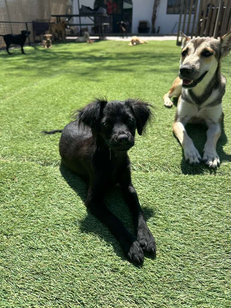 WhatsApp Image 2026-03-19 at 3.23.05 PM (1).jpeg