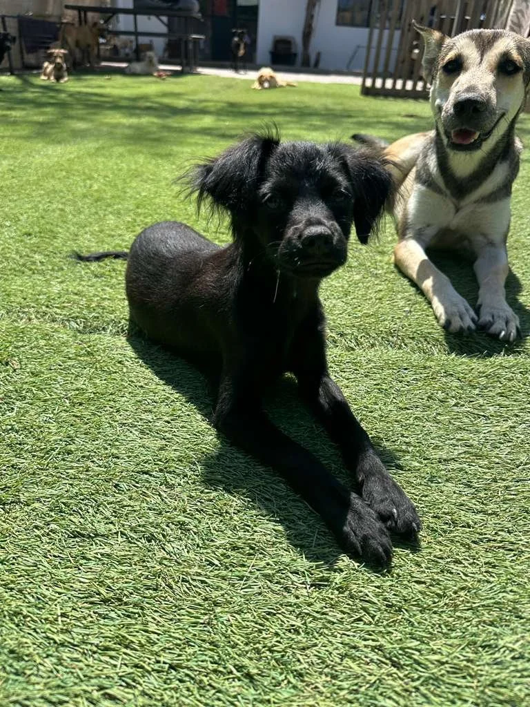 WhatsApp Image 2026-03-19 at 3.23.05 PM.jpeg