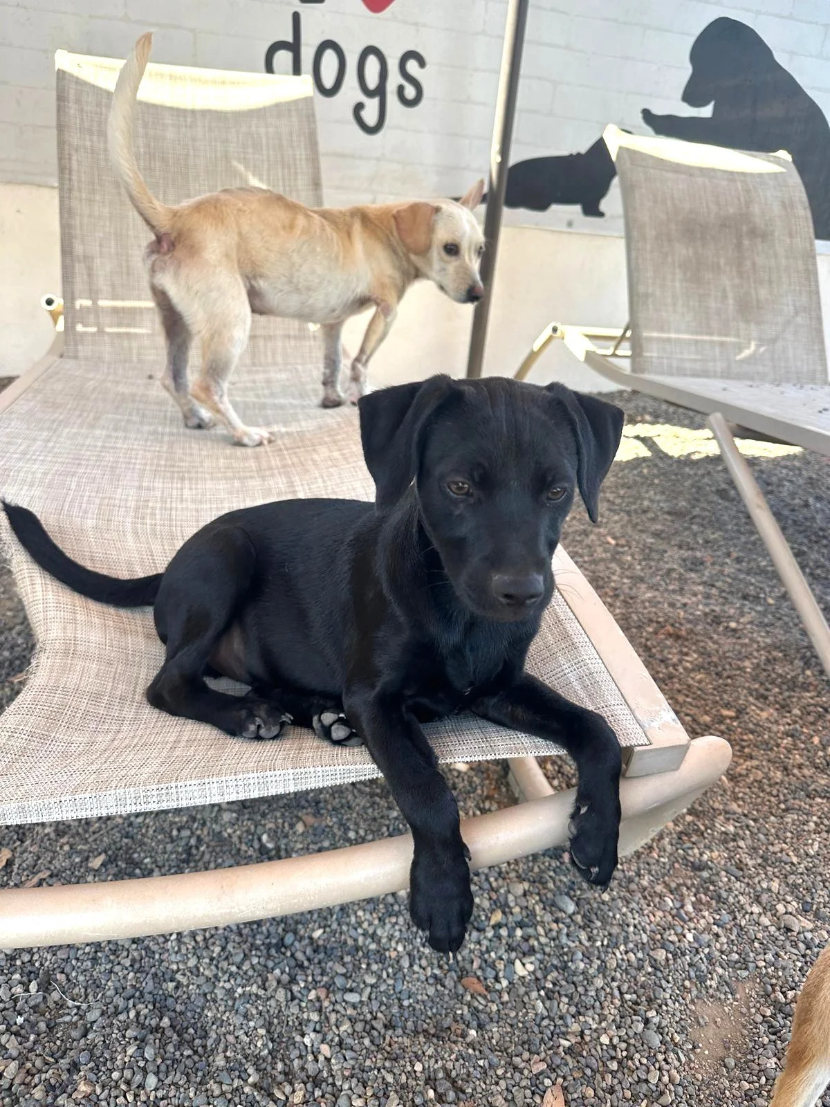 Franklin 319 (1).jpeg