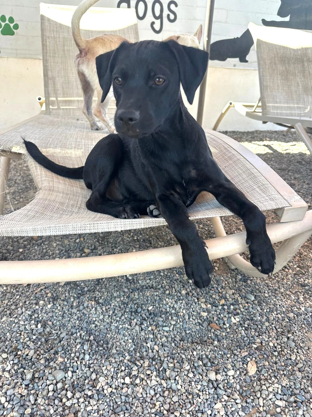 Franklin 319 (3).jpeg