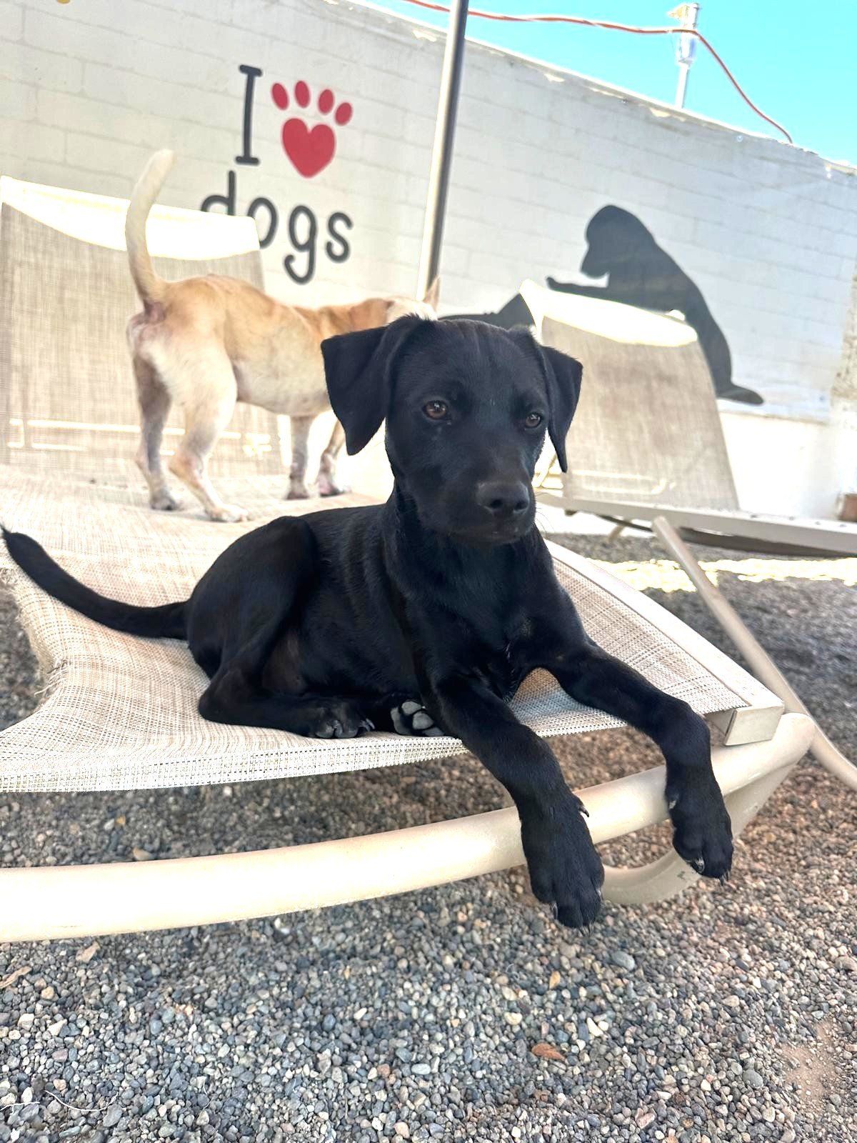 Franklin 319 (2).jpeg