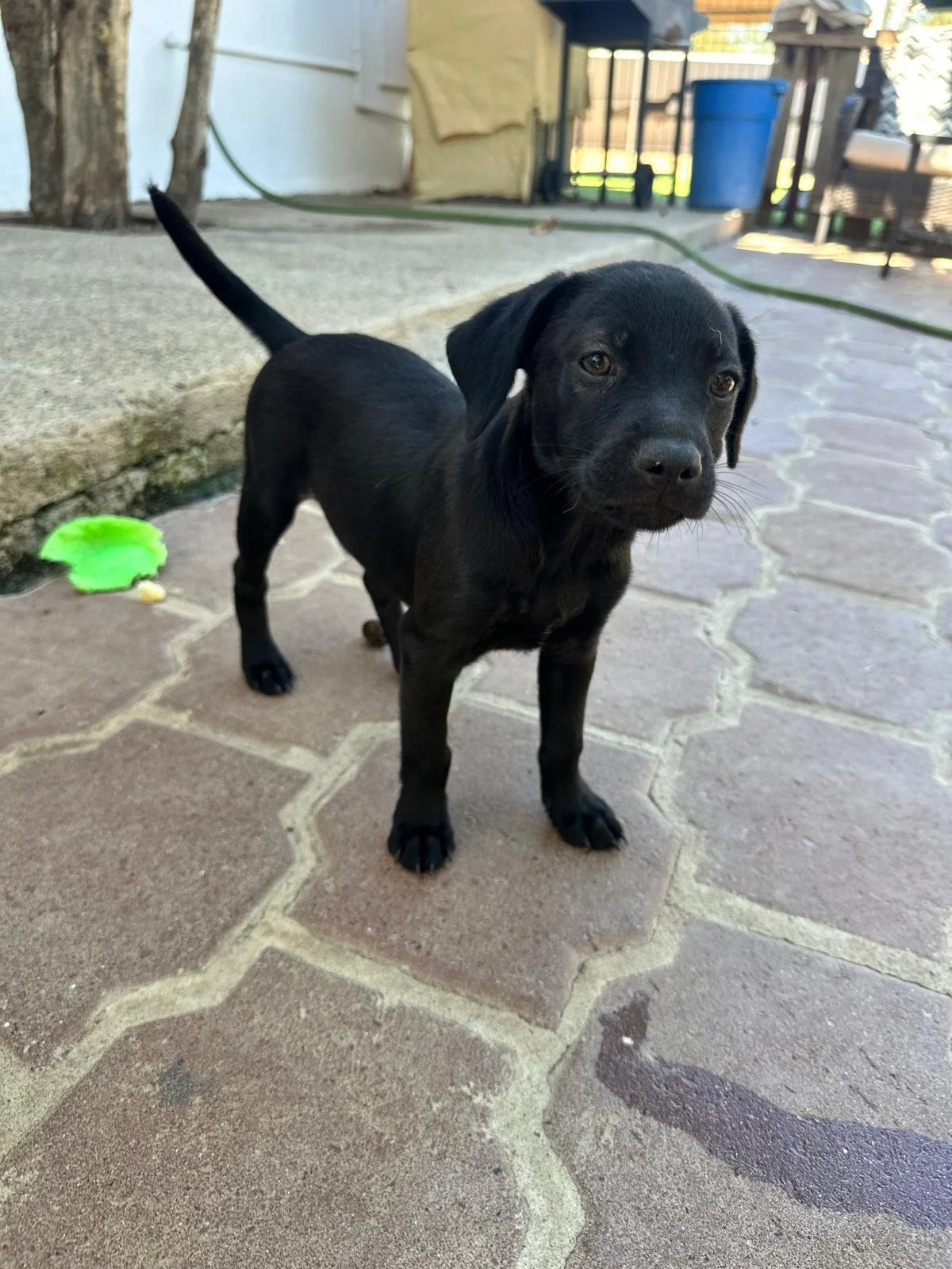 frank 13126 (3).jpeg