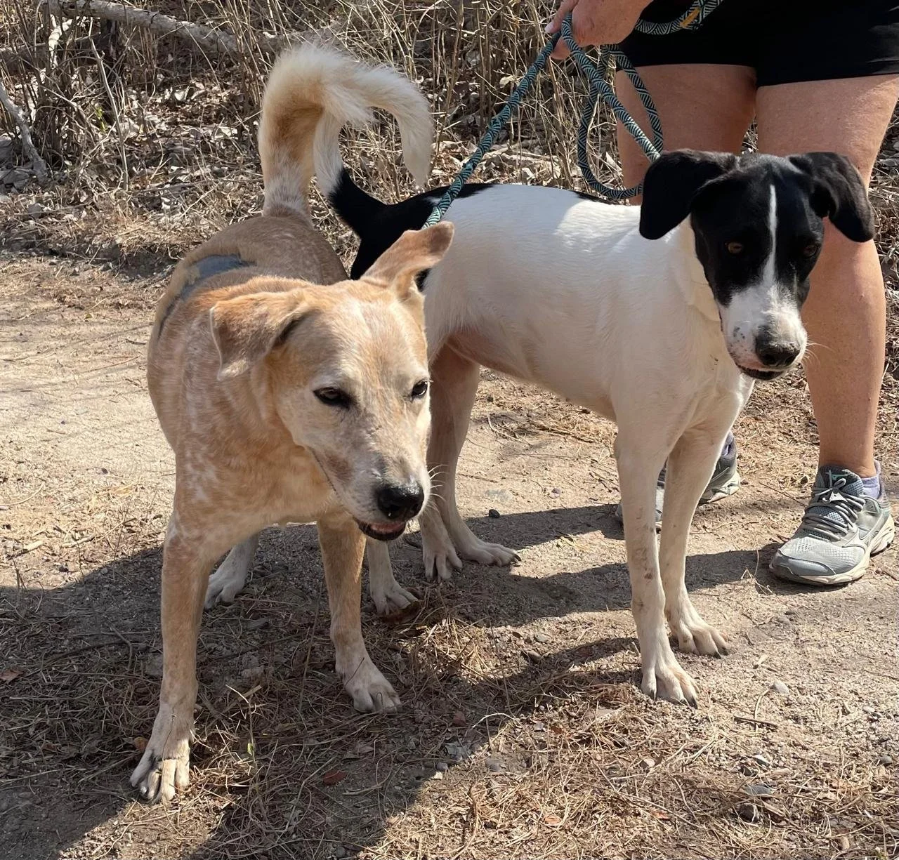 WhatsApp Image 2026-03-28 at 3.04.33 PM.jpeg