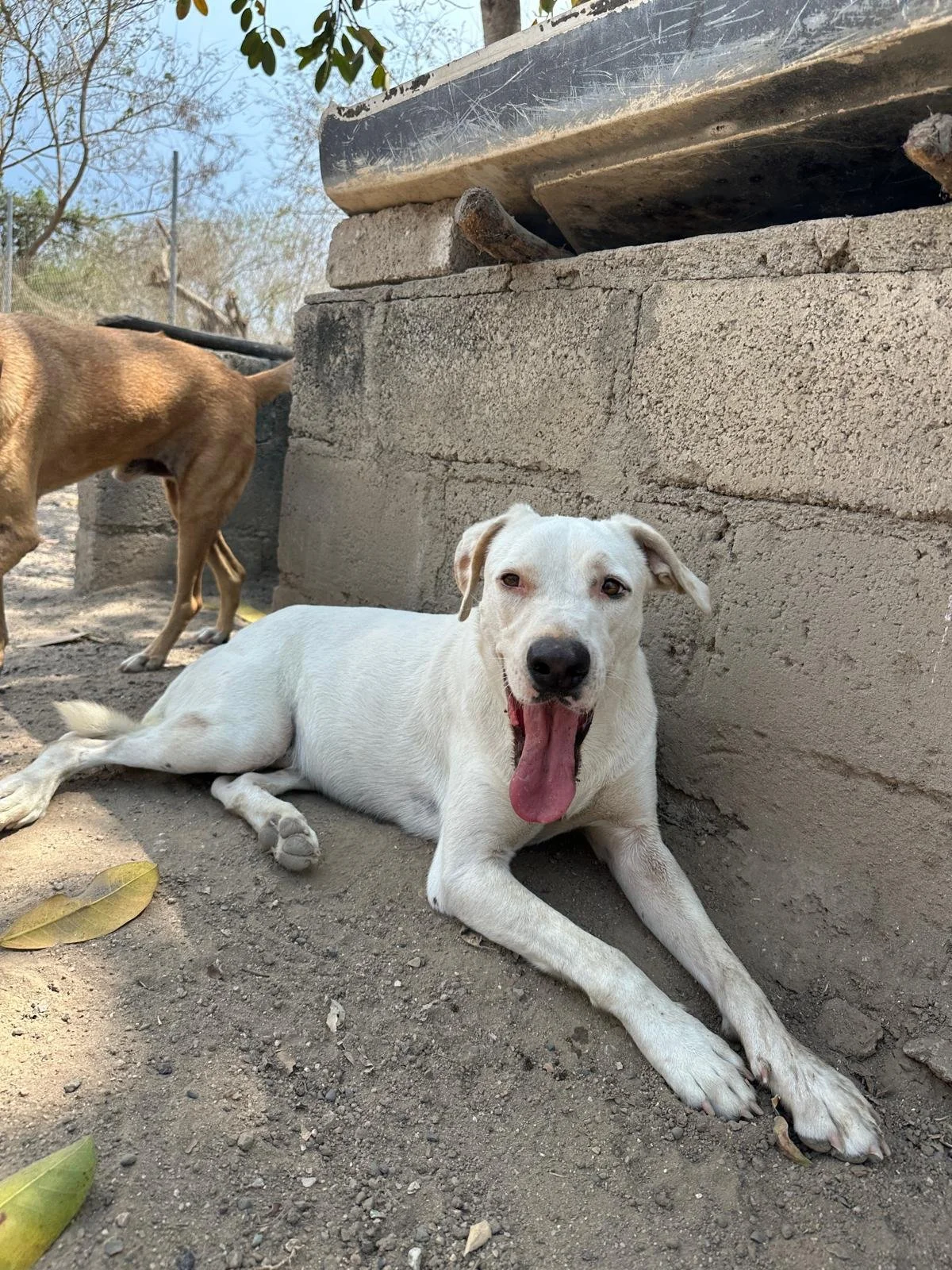 WhatsApp Image 2026-03-29 at 3.26.44 PM (2).jpeg