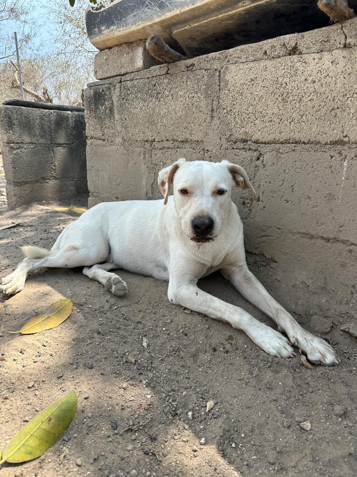 WhatsApp Image 2026-03-29 at 3.26.44 PM.jpeg