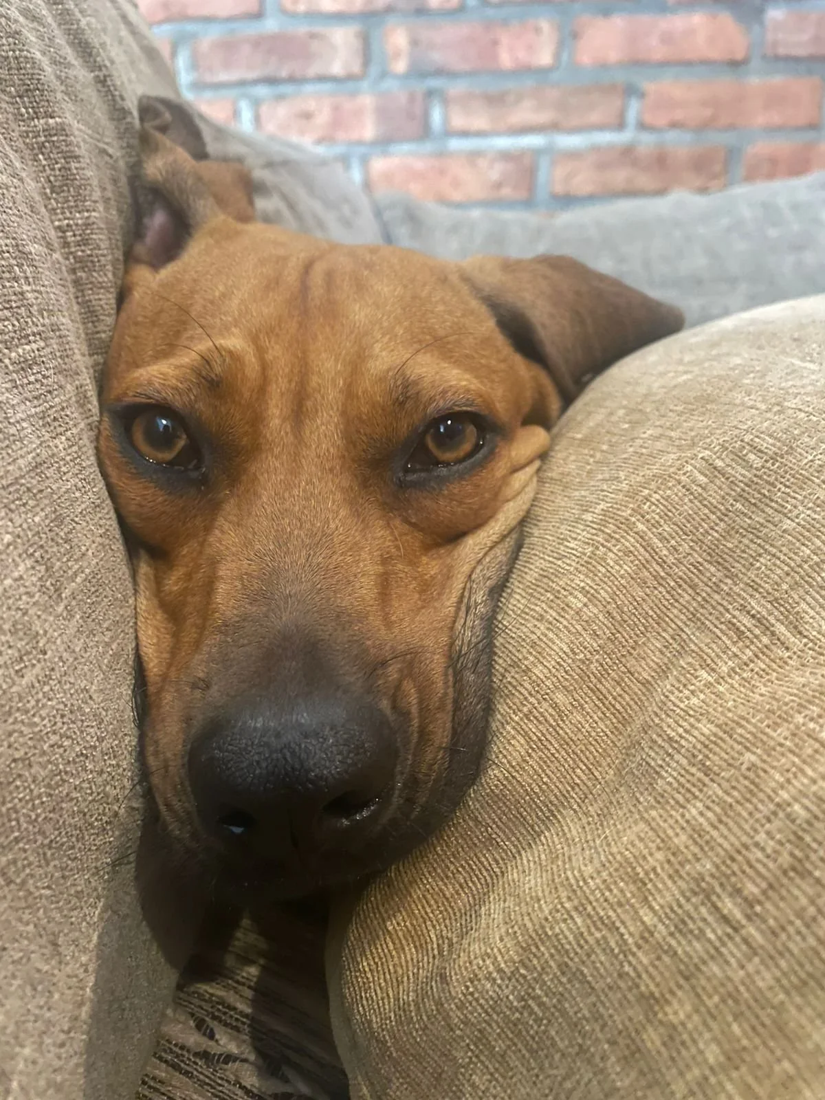 WhatsApp Image 2026-04-01 at 5.42.34 PM (1).jpeg