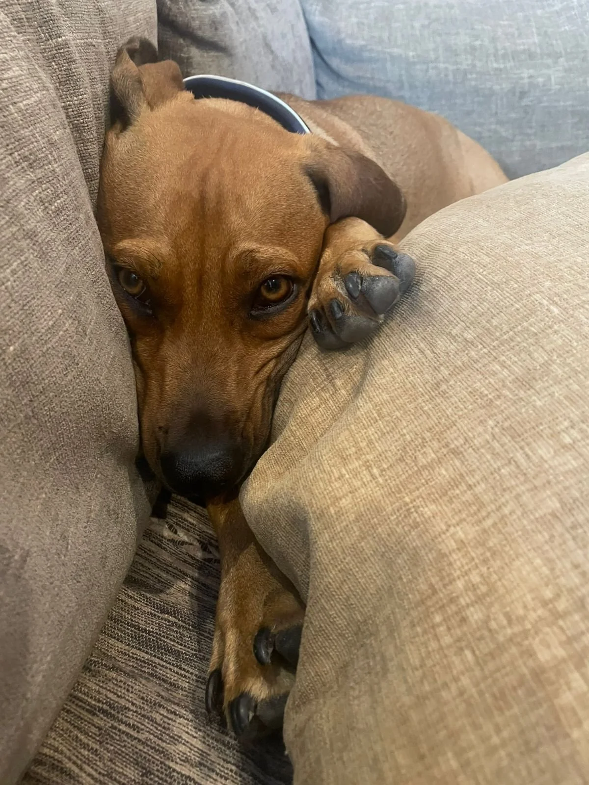 WhatsApp Image 2026-04-01 at 5.42.35 PM (2).jpeg