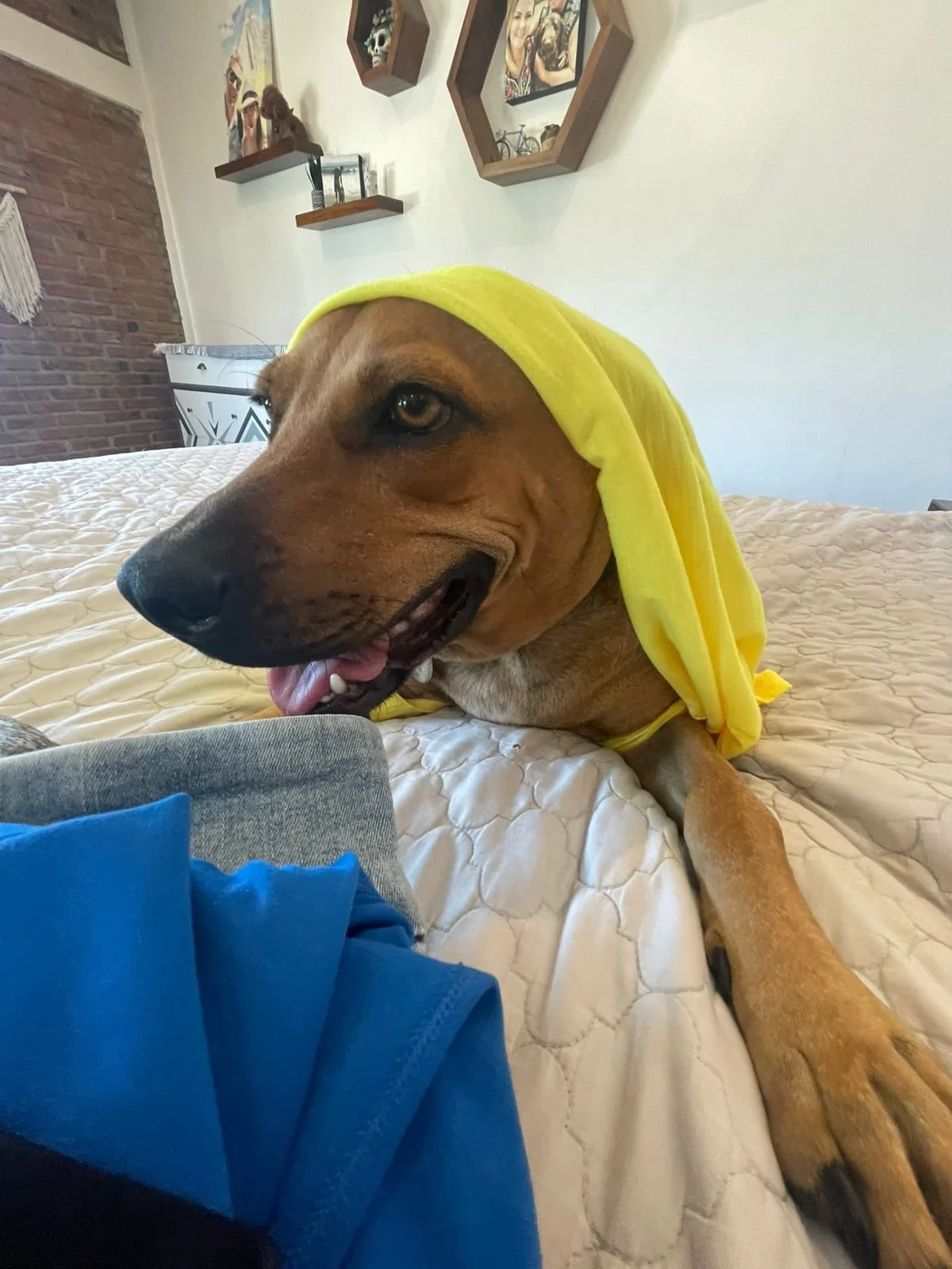 WhatsApp Image 2026-04-01 at 5.42.35 PM (3).jpeg