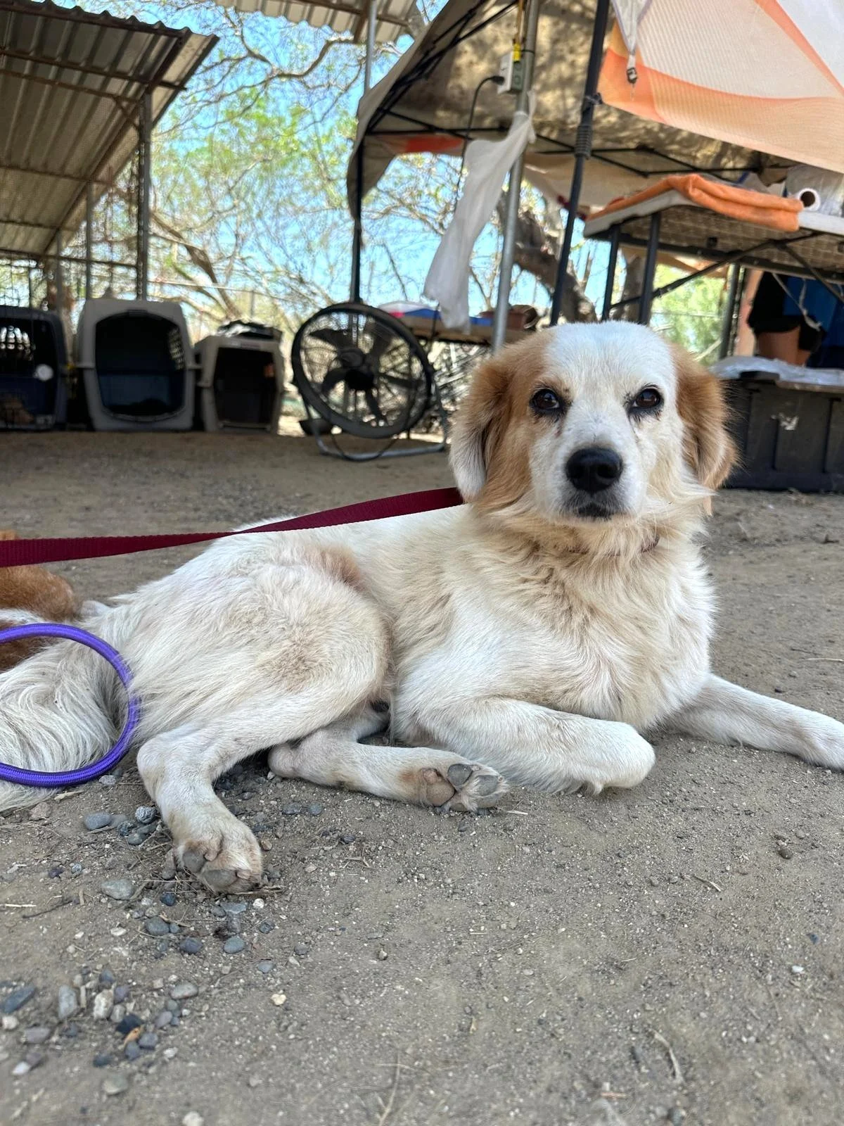 WhatsApp Image 2026-03-31 at 3.59.36 PM (1).jpeg