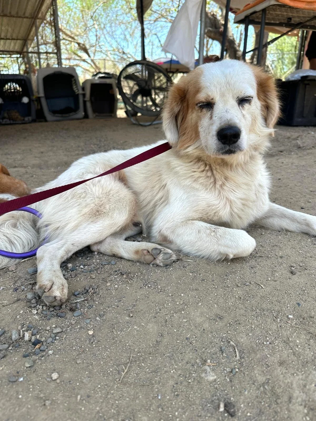 WhatsApp Image 2026-03-31 at 3.59.36 PM (2).jpeg