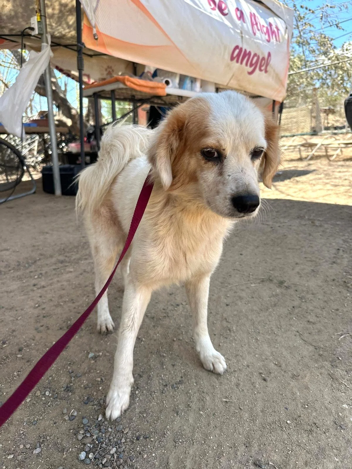 WhatsApp Image 2026-03-31 at 4.27.47 PM.jpeg