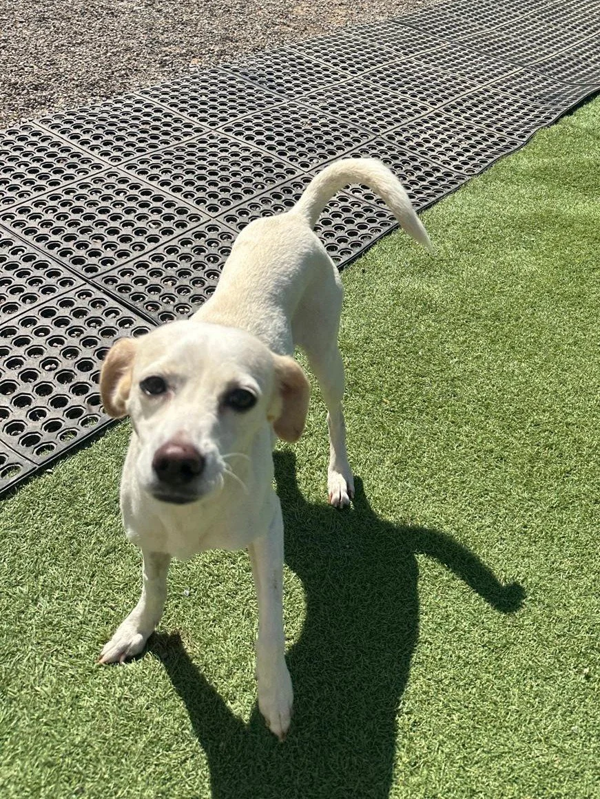 WhatsApp Image 2026-04-03 at 5.28.13 PM.jpeg