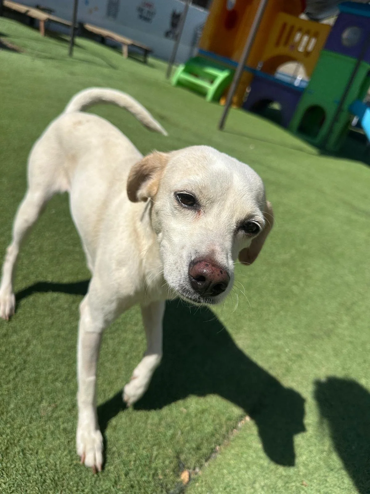 WhatsApp Image 2026-04-03 at 5.28.13 PM (2).jpeg