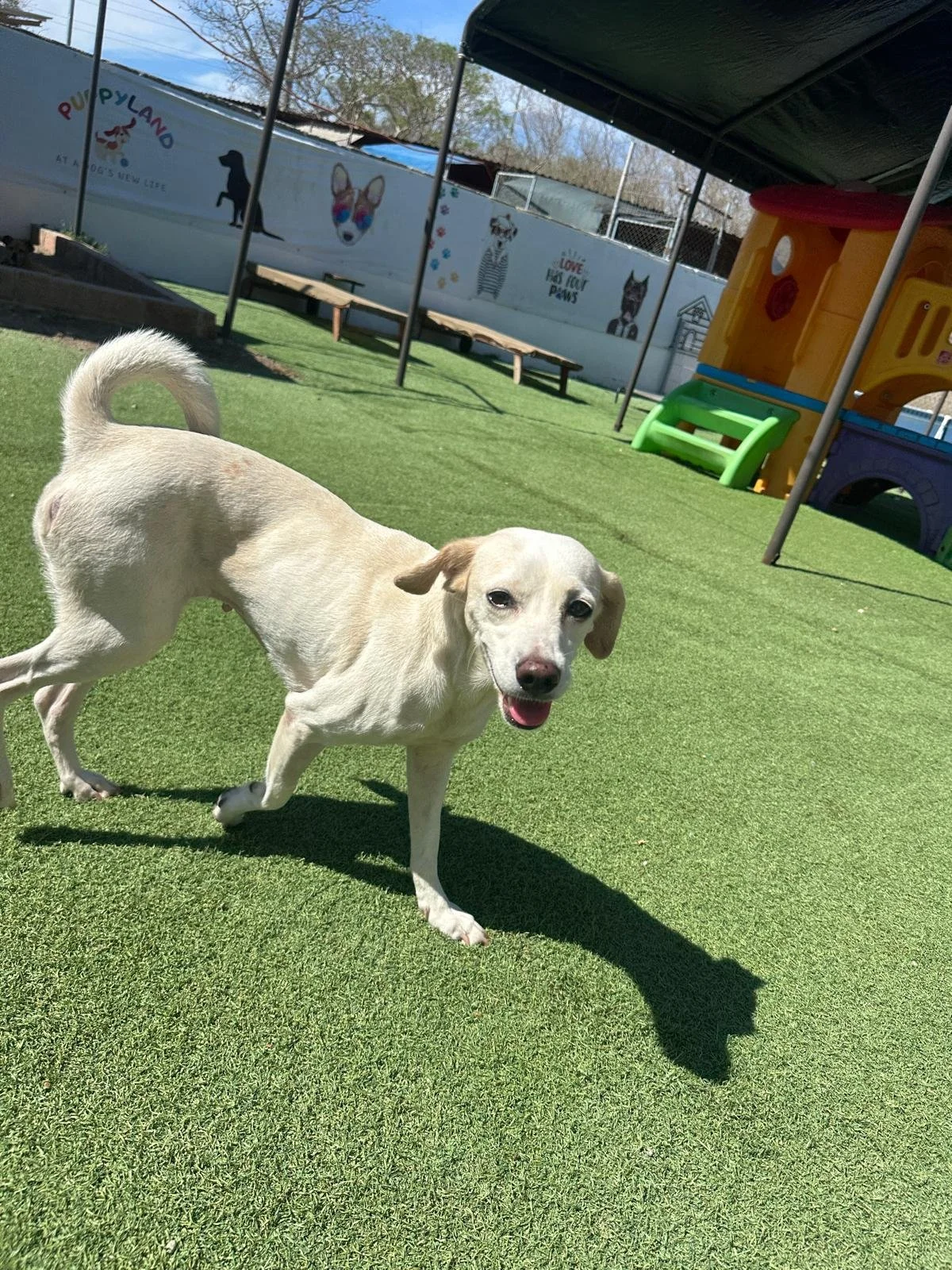 WhatsApp Image 2026-04-03 at 5.28.13 PM (1).jpeg